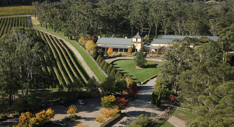 Centennial Vineyards 